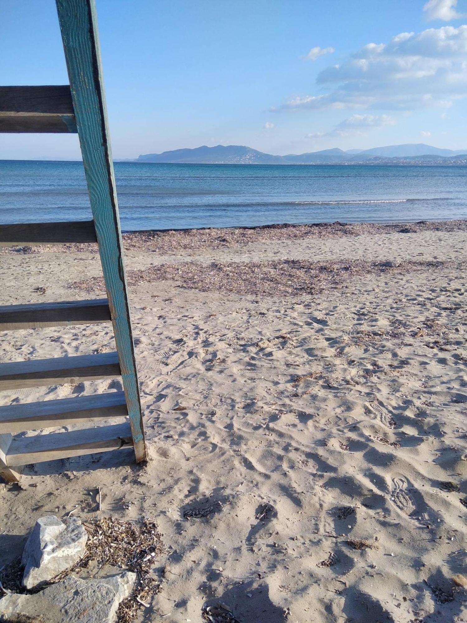 Apartment Artemida Beach Apartment *